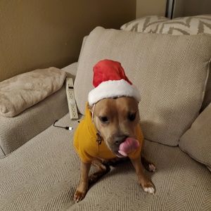 Meet your Posher, Brent